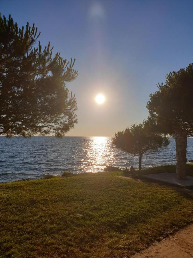 Family Bungalow Pineta Novigrad  Zewnętrze zdjęcie