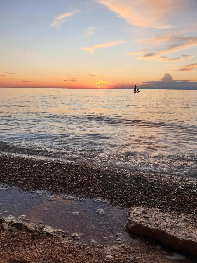 Family Bungalow Pineta Novigrad  Zewnętrze zdjęcie