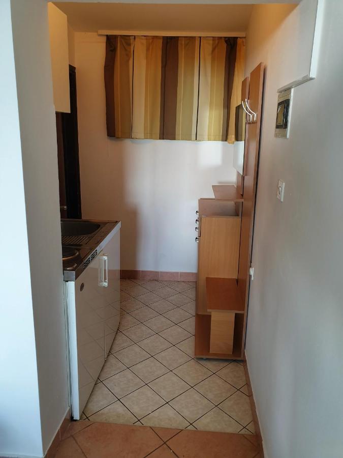 Family Bungalow Pineta Novigrad  Zewnętrze zdjęcie