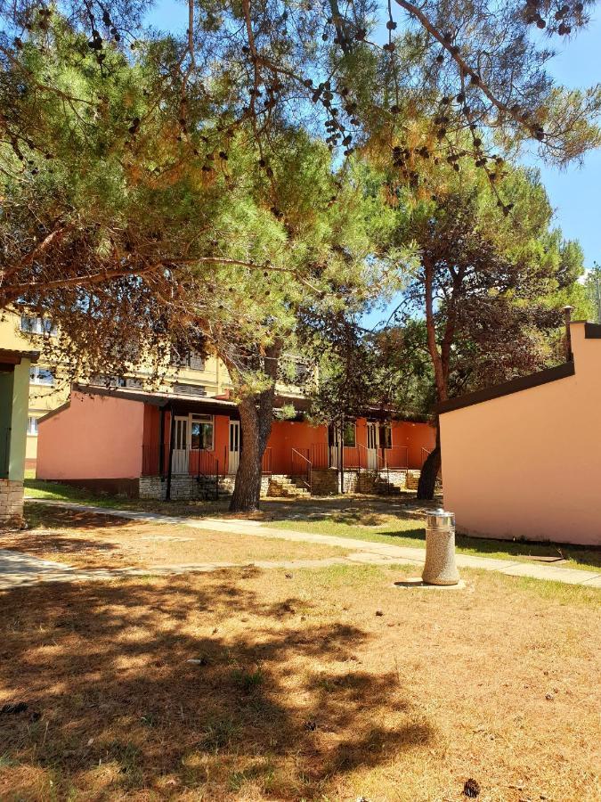 Family Bungalow Pineta Novigrad  Zewnętrze zdjęcie